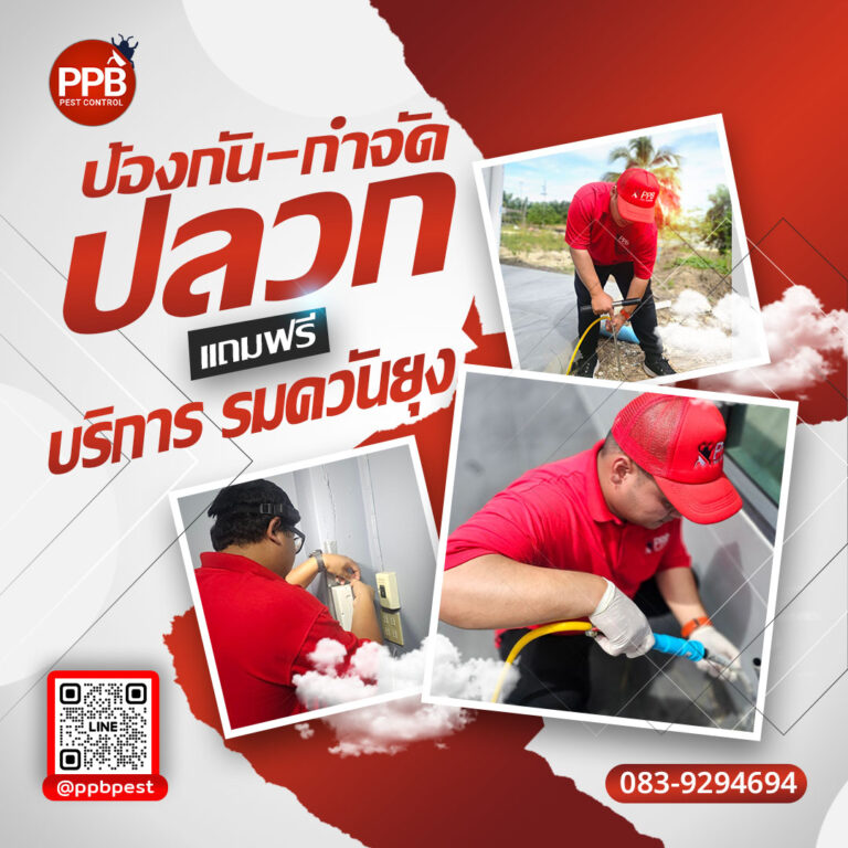 บริการจัดปลวก-โคราช